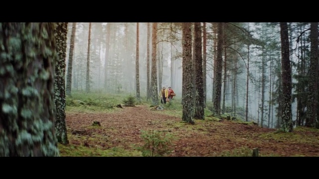 Video Reference: Woodland, Forest, Nature, Tree, Natural environment, Natural landscape, Old-growth forest, Biome, Wilderness, Woody plant