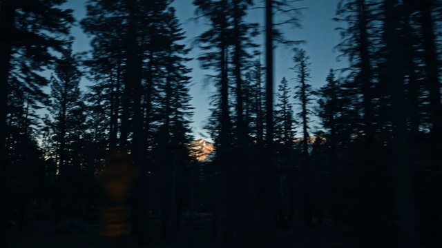 Video Reference: nature, forest, sky, ecosystem, darkness, tree, atmosphere, spruce fir forest, night, light