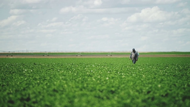 Video Reference: Grassland, Field, Green, Plain, Grass, Pasture, Natural environment, Crop, Paddy field, Land lot