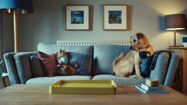 Video Reference: Room, Couch, Living room, Furniture, Property, Companion dog, Interior design, Home, Comfort, Table