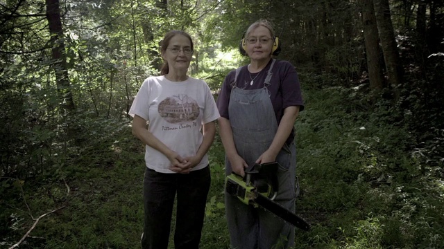 Video Reference: Jungle, Forest, Woodland, Natural environment, Wilderness, Biome, Old-growth forest, Tree, Recreation, Valdivian temperate rain forest, Person