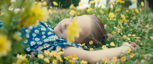 Video Reference: Flower, Skin, Plant, Photograph, Eye, Facial expression, People in nature, Light, Organ, Nature