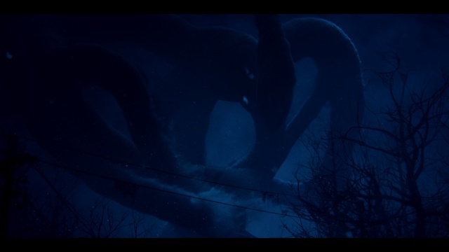 Video Reference: blue, black, darkness, atmosphere, light, sky, photography, night, computer wallpaper, underwater