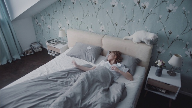 Video Reference: Bedroom, Bed, Bed sheet, Room, Furniture, Bedding, Wall, Bed frame, Comfort, Mattress