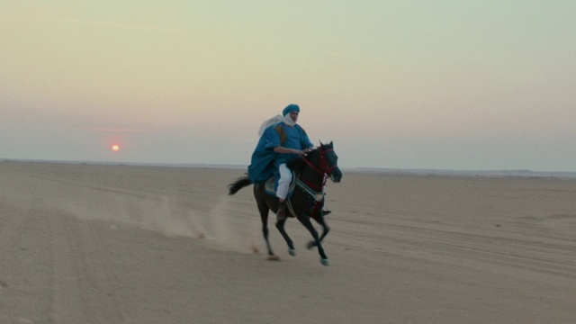 Video Reference: Horse, Desert, Rein, Natural environment, Sand, Sahara, Aeolian landform, Landscape, Recreation, Ecoregion