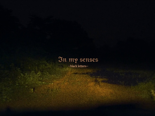 Video Reference: Nature, Black, Sky, Text, Darkness, Night, Light, Font, Atmosphere, Tree