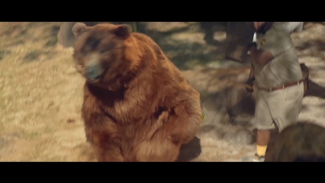 Video Reference: Bear, Grizzly bear, Brown bear, Organism, Dog breed, Adaptation, Carnivore, Fur, Wildlife, Screenshot