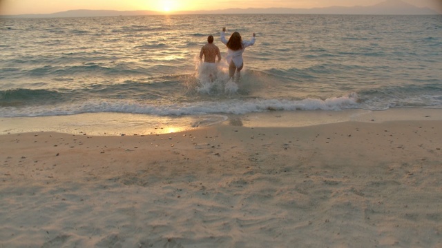 Video Reference: Wave, Ocean, Sea, Beach, Fun, Vacation, Sky, Shore, Wind wave, Summer, Person