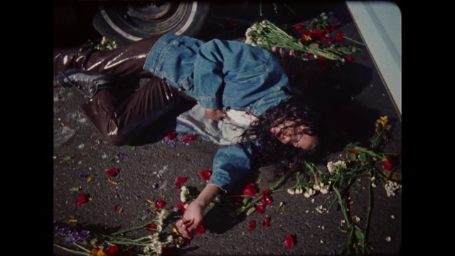 Video Reference: Photograph, Red, Cool, Lady, Snapshot, Organism, Fun, Human, Photography, Leaf, Person, Man, Board, Young, Standing, Boy, Holding, Street, Woman, Walking, Girl, Riding, Covered, People, Playing, Hill, Snow, Jumping, Air, Doing, Trick, Flying, Room, Slope, Sign, Toddler, Clothing, Flower, Text, Footwear