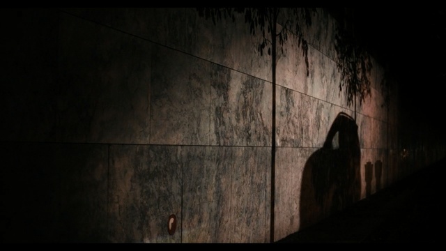 Video Reference: black, darkness, light, atmosphere, wood, screenshot, midnight, night, caving, sky, Person