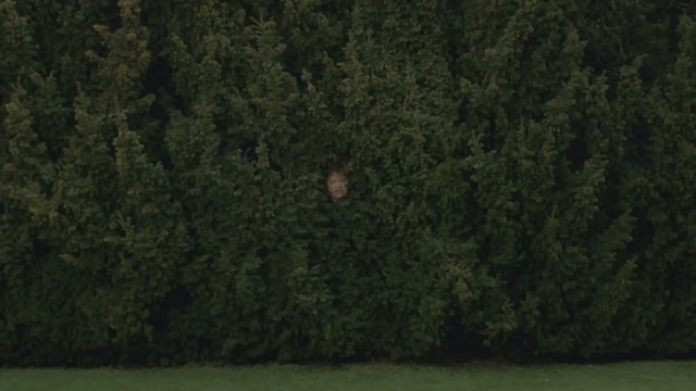 Video Reference: Green, Nature, Vegetation, Grass, Tree, Natural environment, Biome, Leaf, Forest, Woody plant