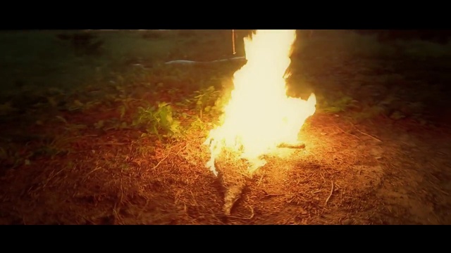 Video Reference: Heat, Flame, Fire, Bonfire, Campfire, Atmosphere, Sky, Sunlight, Event, Geological phenomenon