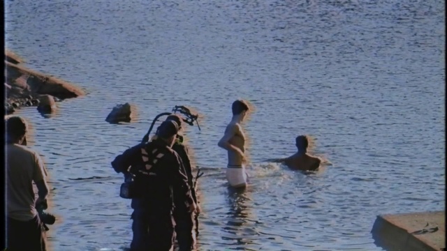 Video Reference: Water, Water bird, Adaptation, Sea, Recreation, River, Leisure, Seabird