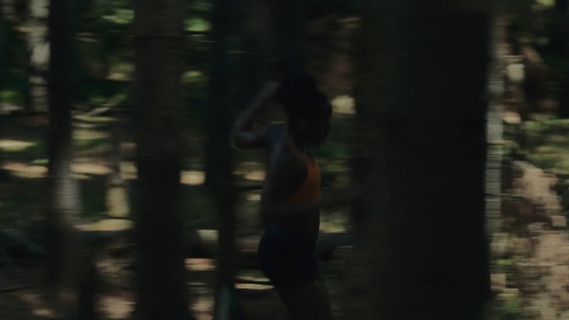 Video Reference: Nature, Black, Natural environment, Forest, Tree, Woodland, Light, Biome, Darkness, Sunlight