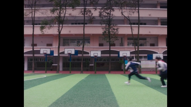 Video Reference: Net, Sport venue, Games, Grass, Player, Sports, Competition event, Recreation, Photography, Ball game