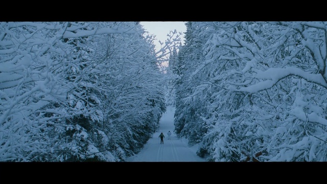 Video Reference: Snow, Winter, Tree, Frost, Nature, Freezing, Branch, Biome, Natural environment, Forest