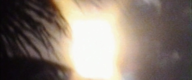 Video Reference: Hair, Face, Nose, Light, Skin, Eyelash, Yellow, Cheek, Head, Eye