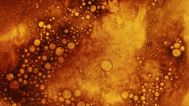 Video Reference: yellow, orange, macro photography, close up, computer wallpaper, organism, moisture, space