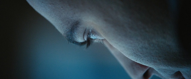 Video Reference: blue, close up, macro photography, darkness, computer wallpaper, sky