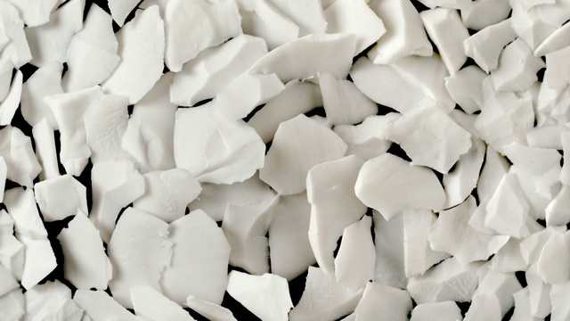 Video Reference: white, black and white, petal, monochrome photography, monochrome, material, flower