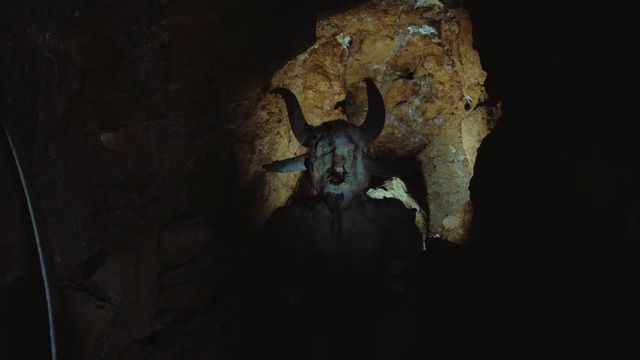 Video Reference: triceratops, dinosaur