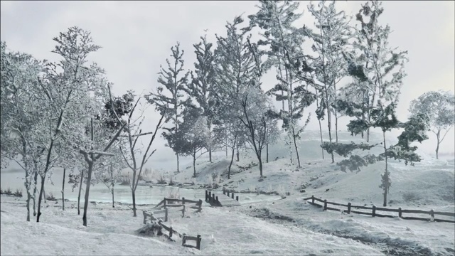 Video Reference: snow, winter, tree, black and white, freezing, frost, winter storm, blizzard, monochrome, monochrome photography