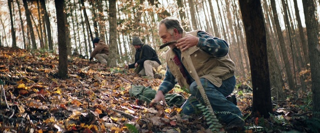 Video Reference: Woodland, Forest, Tree, Adaptation, Plant