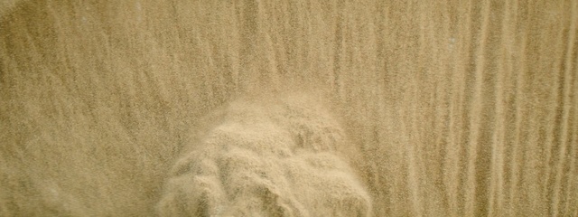 Video Reference: wood, grass family, field, grass