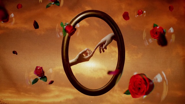Video Reference: Red, Still life photography, Macro photography, Circle, Space, Art