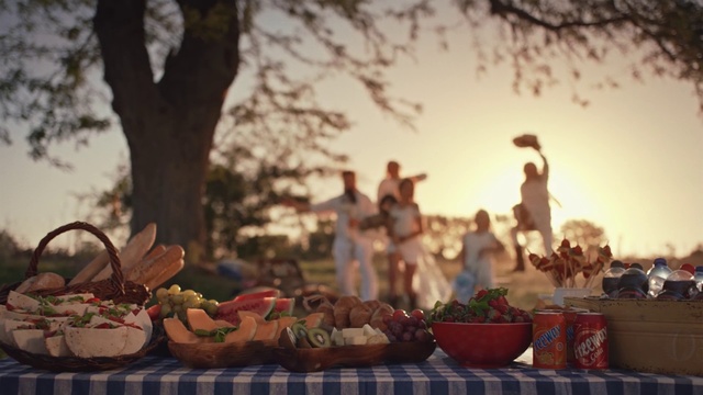 Video Reference: Meal, Tree, Event, Recreation, Picnic, Party