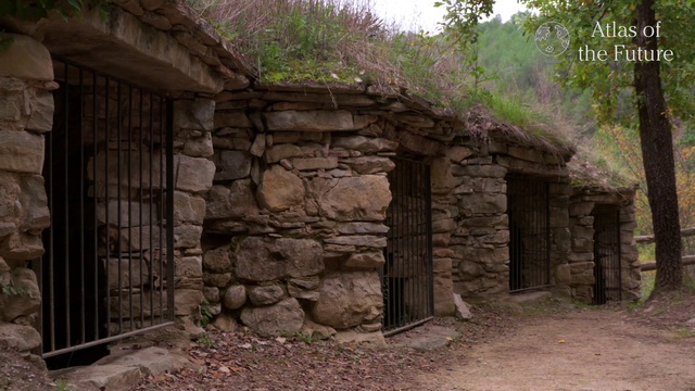 Video Reference: Stone wall, Building, House, Hut, Tree, Rock, Ruins, Landscape, State park