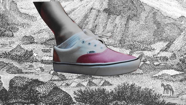 Video Reference: Footwear, Shoe, White, Pink, Plimsoll shoe, Leg, Ankle, Sneakers, Style, Outdoor shoe, Sitting, Shoes, Cat, Table, Pair, Feet, Black, Woman, Covered, Wearing, Standing, Laying, Playing, Sandal, Text, High heels, Sneaker, Walking shoe, Boot, Sock, Basic pump, Skate shoe, Flip-flops