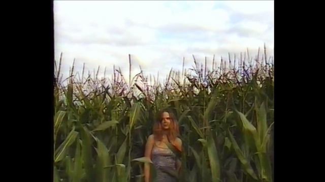 Video Reference: People in nature, Nature, Crop, Field, Plant, Grass, Grass, Agriculture, Photography, Spring