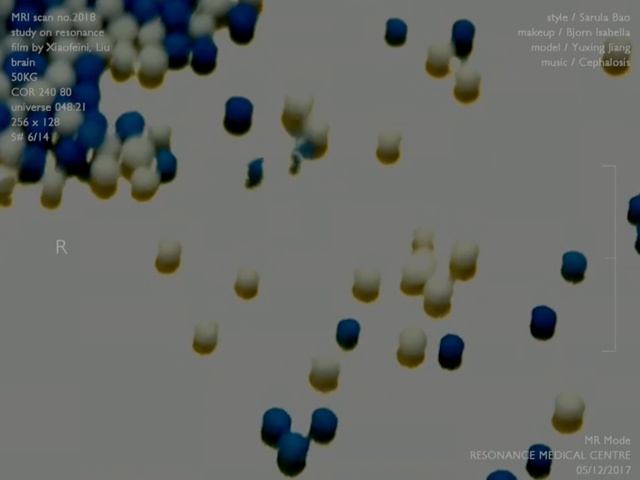 Video Reference: blue, white, yellow, text, sky, atmosphere, font, organism, material, screenshot