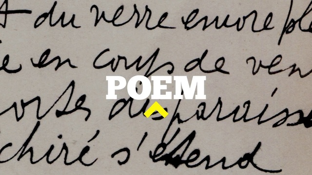 Video Reference: Handwriting, Font, Text, Calligraphy, Writing, Art