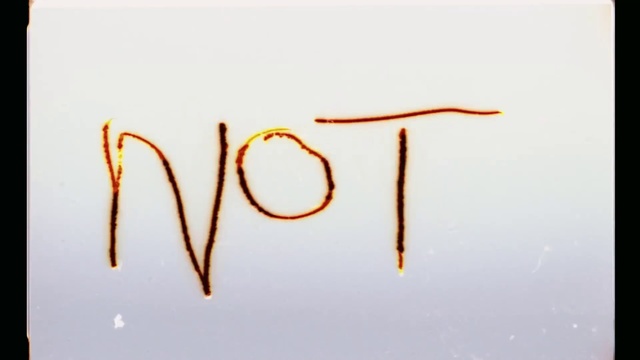 Video Reference: Font, Orange, Line, Branch, Twig, Calligraphy, Smile, Macro photography