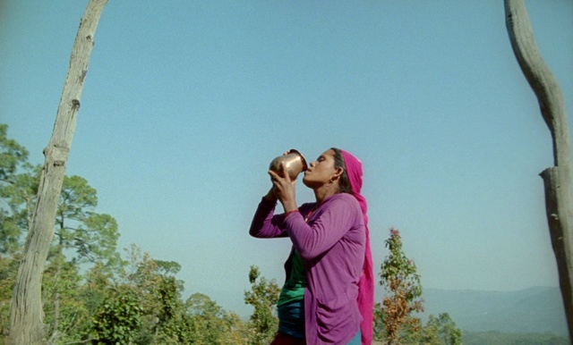 Video Reference: Photograph, Snapshot, Photography, Love, Fun, Tree, Happy, Romance, Leisure, Gesture