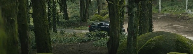 Video Reference: Vehicle, Nature, World rally championship, Woodland, Rallying, Car, Off-roading, Natural environment, Forest, Wilderness