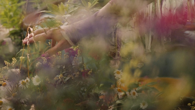 Video Reference: People in nature, Nature, Vegetation, Grass, Plant, Spring, Flower, Wildflower, Branch, Sunlight