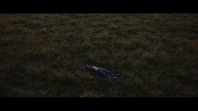 Video Reference: grass, fauna, screenshot, atmosphere, wildlife, sky, grass family, ecoregion, prairie, soil