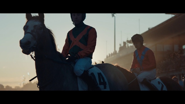 Video Reference: Horse, Human, Screenshot, Fun, Photography, Horse trainer, Horse harness