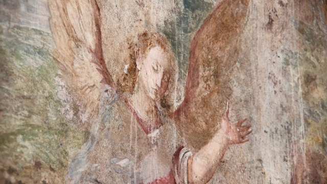 Video Reference: Tree, Rock, Art, Geology, Painting, Drawing