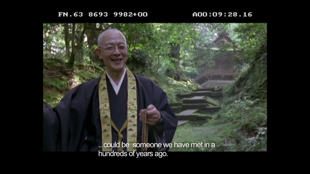 Video Reference: Adaptation, Photo caption, Tree, Movie, Forest, Organism, Photography, Smile, Fictional character, Rainforest