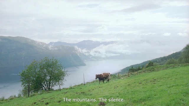Video Reference: highland, hill station, grassland, mount scenery, mountainous landforms, pasture, nature reserve, valley, sky, mountain
