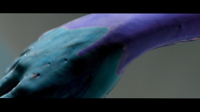 Video Reference: blue, marine mammal, dolphin, mammal, whales dolphins and porpoises, water, marine biology, close up, purple, organism