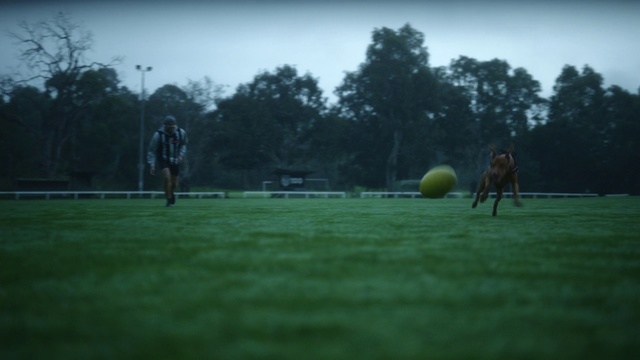 Video Reference: Green, Ball, Grass, Sky, Tree, Sport venue, Net, Atmosphere, Player, Sports equipment