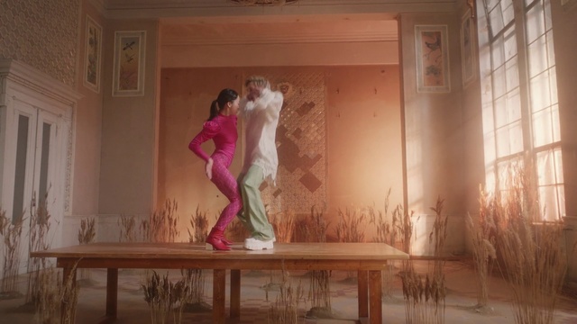 Video Reference: Pink, Art, Room, Interior design, Performance art, Visual arts