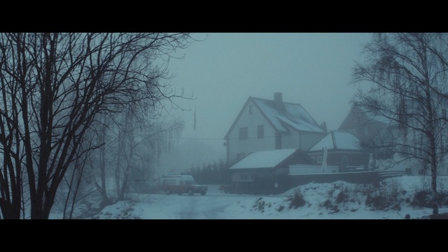 Video Reference: winter, tree, atmosphere, sky, fog, snow, house, freezing, morning, mist