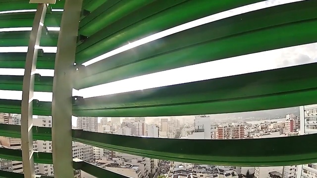 Video Reference: Green, Architecture, Ceiling, Plant, Road