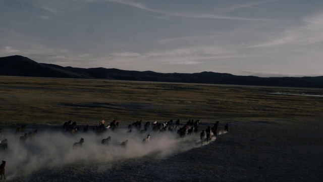 Video Reference: Herd, Ecoregion, Sky, Atmospheric phenomenon, Grassland, Steppe, Plain, Tundra, Landscape, Sea